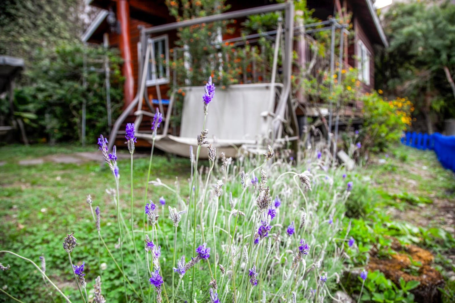 6人獨棟木屋 - 房型照片