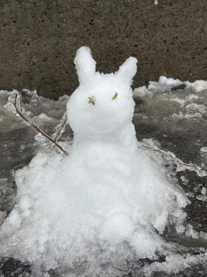 清境藍天花園四季好風景